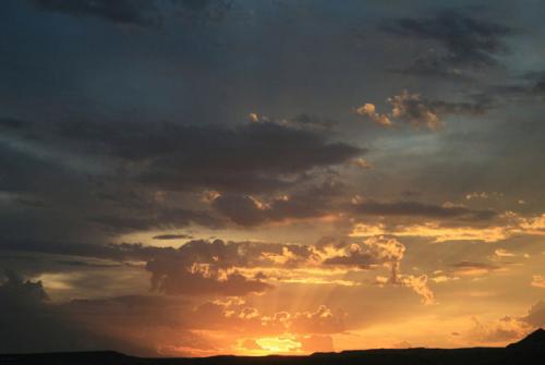 宾夕法尼亚州  怎么买到